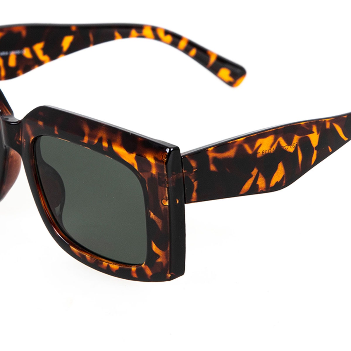 ARIA tortoise