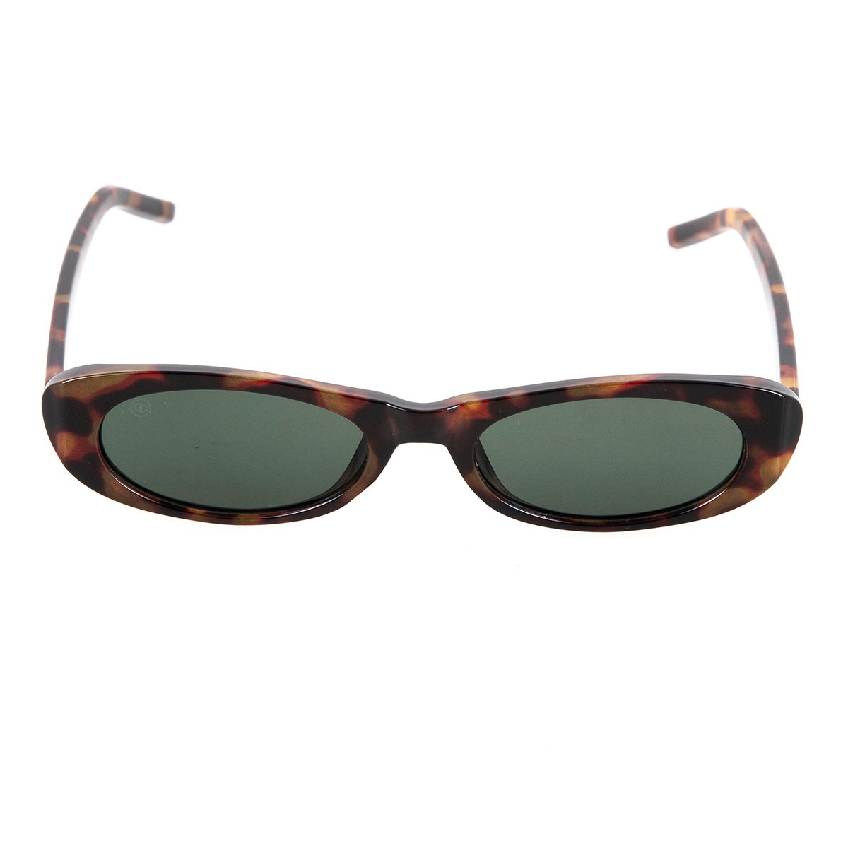 MIRIAM tortoise