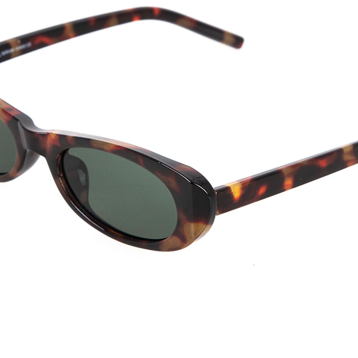MIRIAM tortoise