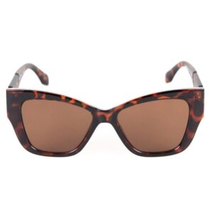 Noel tortoise - Image 3
