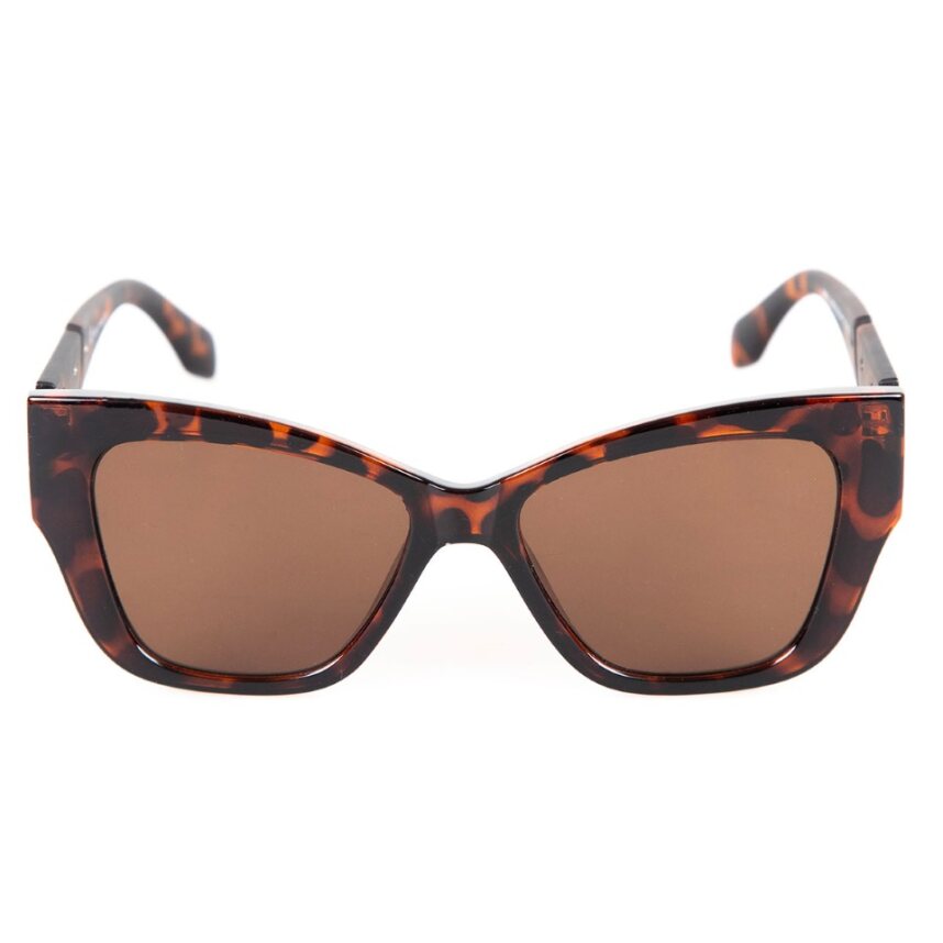 Noel tortoise - Image 3