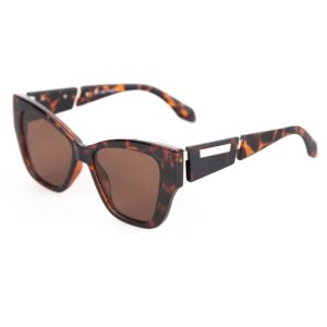 Noel tortoise - Image 4