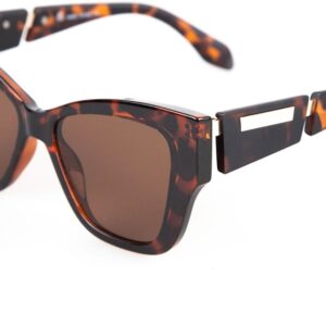 Noel tortoise - Image 6