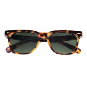 Bruno tortoise/green