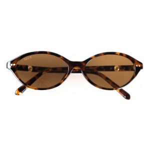 Isla tortoise