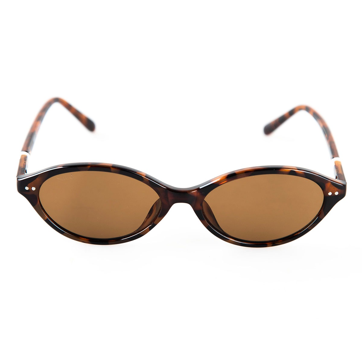 Isla tortoise - Image 3