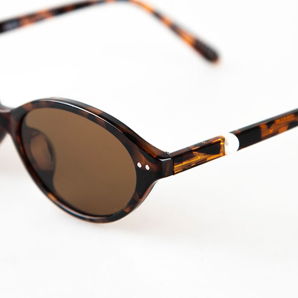 Isla tortoise - Image 5